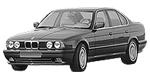 BMW E34 B203D Fault Code